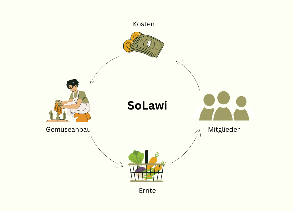 Solawi Kreislauf vom Acker auf den Tisch